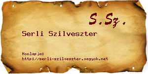 Serli Szilveszter névjegykártya